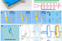 无需复杂操控！水相自驱动液滴生成技术助力多重连续流PCR检测