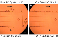 微流控阶梯乳化装置高通量制备小尺寸单分散水包油液滴及聚合物微球