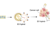液滴挤压微流控平台！解锁 EV 与 LNP 融合新路径，助力精准药物递送