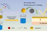 不止防晒！木质素微球封装阿伏苯宗，兼具抗氧化与低渗透性