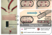 一图读懂综述：微流控技术中液滴分裂的研究进展