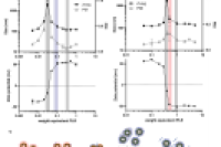 《Adv. Funct. Mater.》：无需纯化！微流控技术实现层层组装纳米颗粒的高通量制备