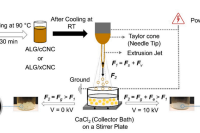 电流体动力学工艺制备纤维素纳米晶体水凝胶微球，破解生物活性化合物控释难题