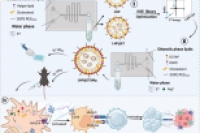 微流控技术协同析因设计优化LNP疫苗，提升癌症免疫治疗效能