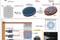 微流控法制备共载靶向多肽和甲氨蝶呤的脂质纳米颗粒，实现银屑病“减毒增效”治疗