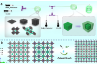 大连理工大学贺高红教授&姜晓滨教授团队AFM：多级微流控外延生长策略实现核壳钙钛矿纳米晶体连续可控制备
