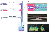 微流体调控核壳PLGA微球实现醋酸亮丙瑞林缓释