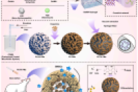微流控高通量制备多功能骨修复微球：抗菌、抗氧化与成骨一体化新策略