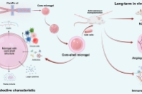 微流控技术加持！一种长效免疫保护性核壳微凝胶，助力糖尿病胰岛移植治疗