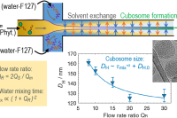 微流控流动聚焦技术制备尺寸可控立方体脂质纳米颗粒