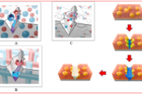 一图读懂综述：机器学习驱动微胶囊技术创新及其多领域应用