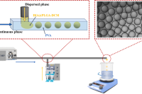 微流控技术赋能！可注射水凝胶-微球复合系统，改善骨关节炎治疗