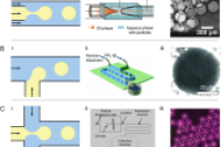 一图读懂综述：微流控制备Pickering乳液与泡沫的策略、挑战及应用前景