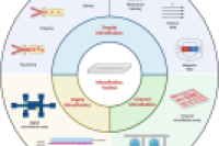 一图读懂综述：微流控技术在生物制造工艺开发中的应用