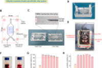 Vibration assisted microfluidic strategy for preparation of drug loaded nanoparticles/hydrogels inte