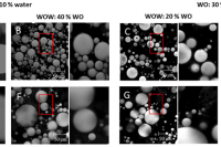 Redefining PGPR stabilization mechanism: the secret of high encapsulation efficiency of W/O/W lotion